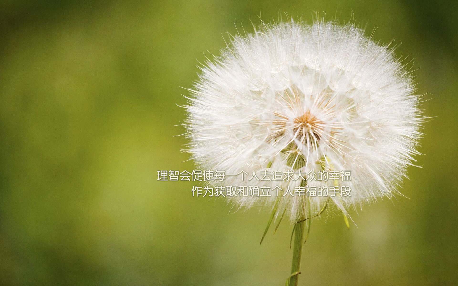 阿什拉夫赛后评分拉满，莱比锡红牛对阵比利时的英雄时刻，一场比赛的完美诠释